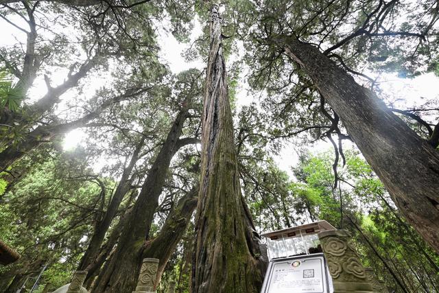 翠雲廊古蜀道