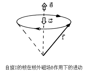 圖3超精細相互作用致原子核繞核外磁場進動