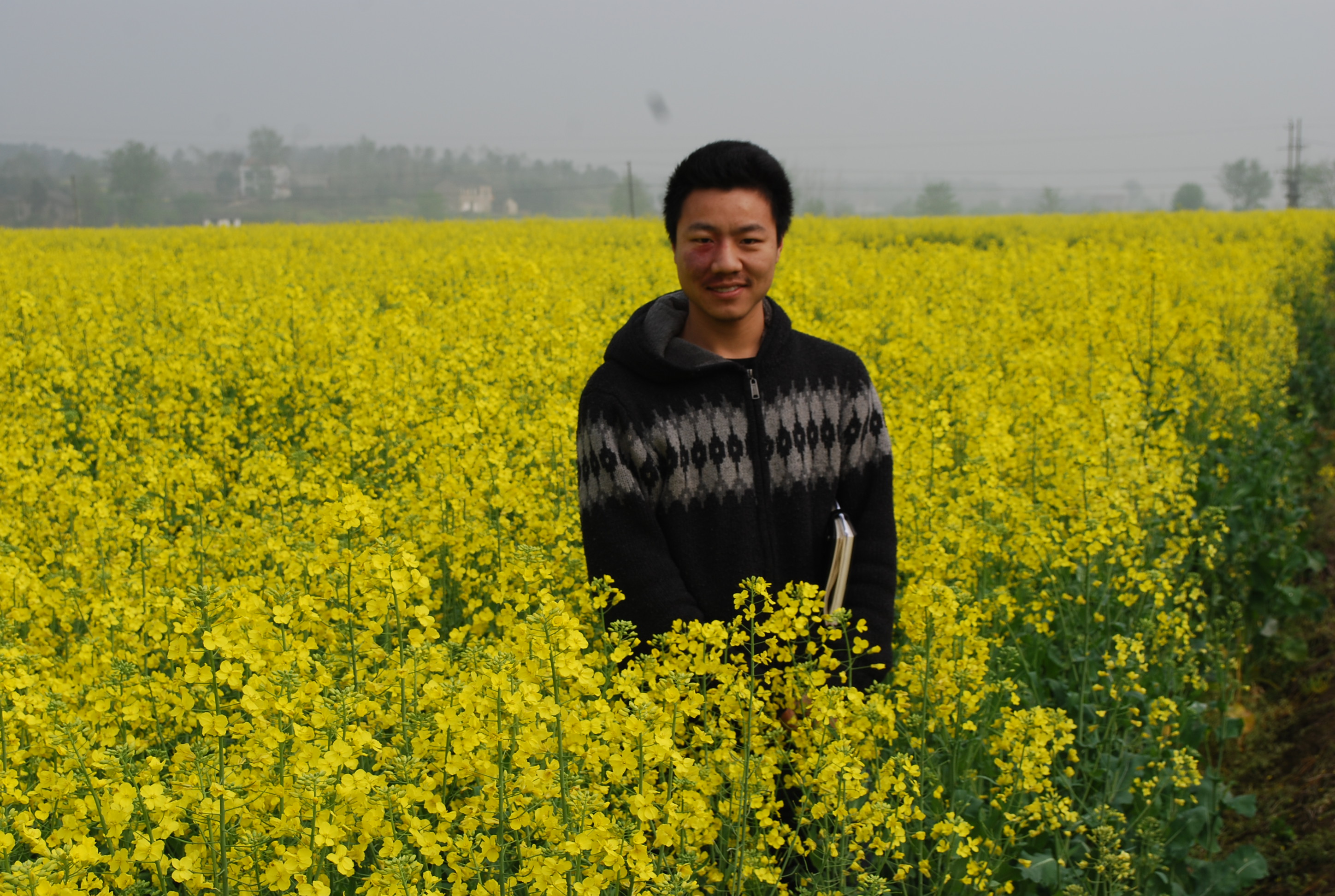 油菜基地照片