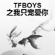 TFBOYS之我只寵愛你