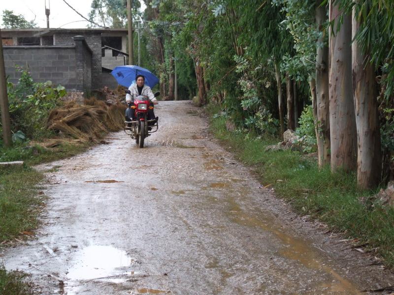 進村道路