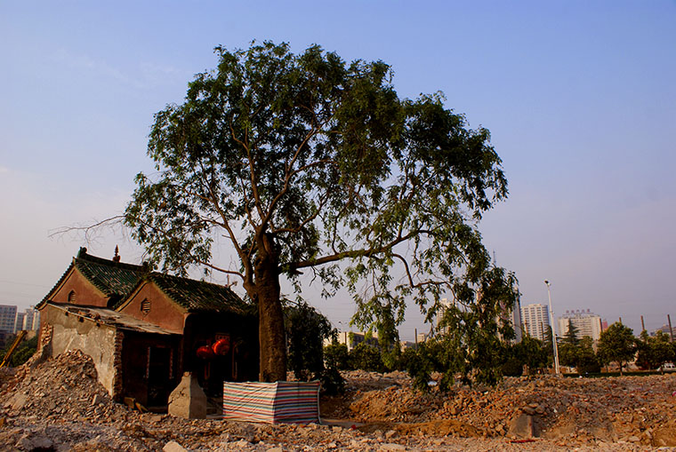 西小屯村(山東省青島市膠州市膠北鎮下轄村)