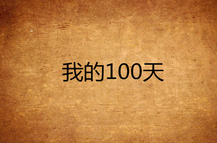 我的100天