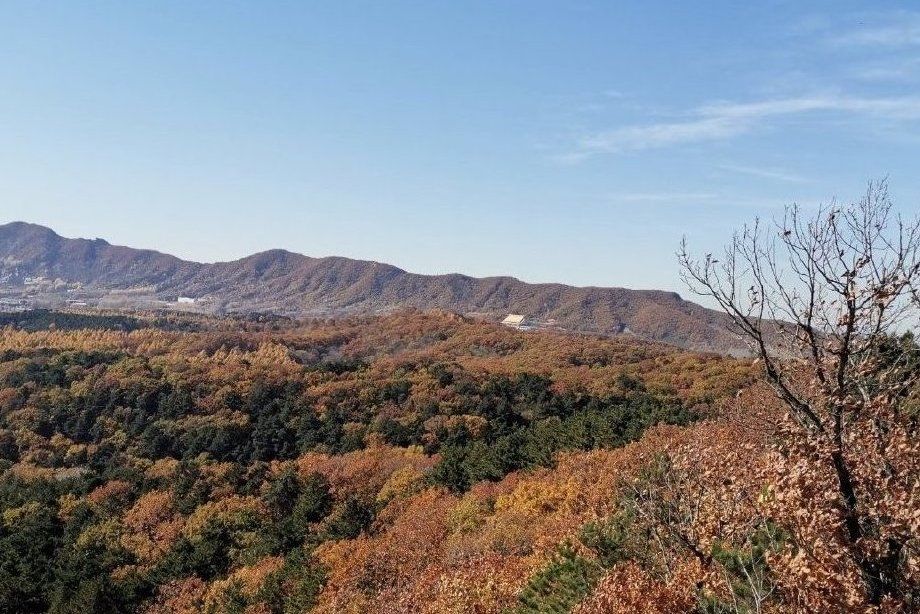 豐滿東山