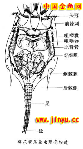 參加大展宏圖日常任務修改圖片