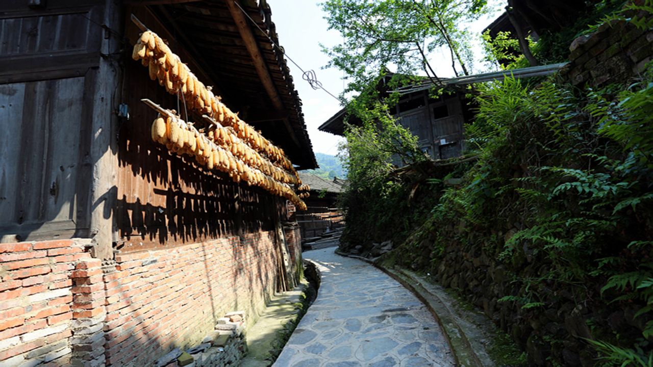 新橋村(寧夏吳忠市鹽池縣大水坑鎮轄村)