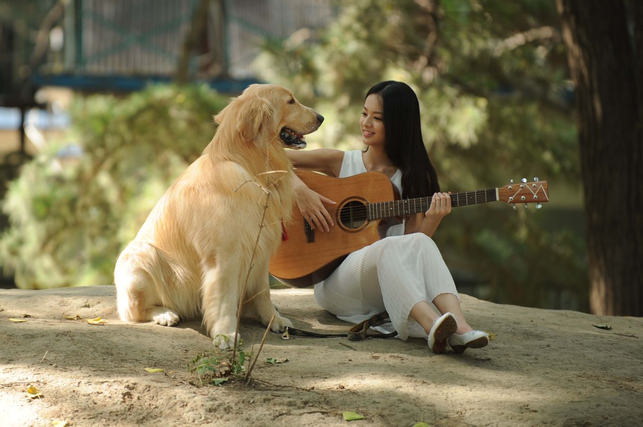 靈犬奇緣