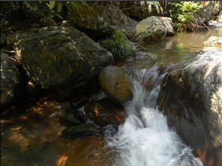 鯉溪村