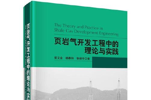 陸相盆地頁岩油氣地質研究與實踐(2017年石油工業出版社出版的圖書)