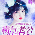 閃婚甜蜜蜜，霸氣老公很神秘