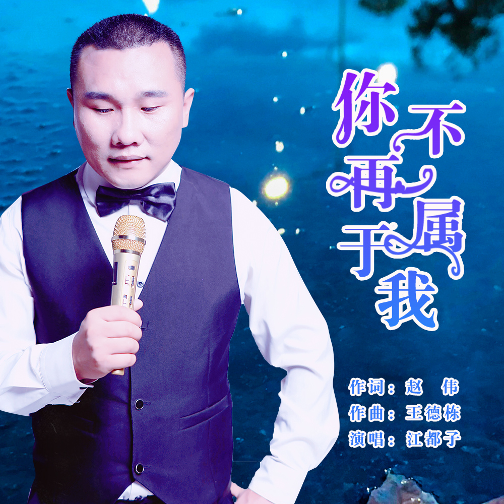 你不再屬於我(江都子演唱歌曲)