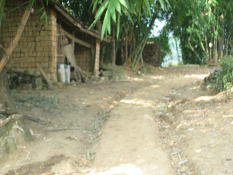 轉山田自然村村內道路