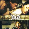 窺FISSURE(DVD)