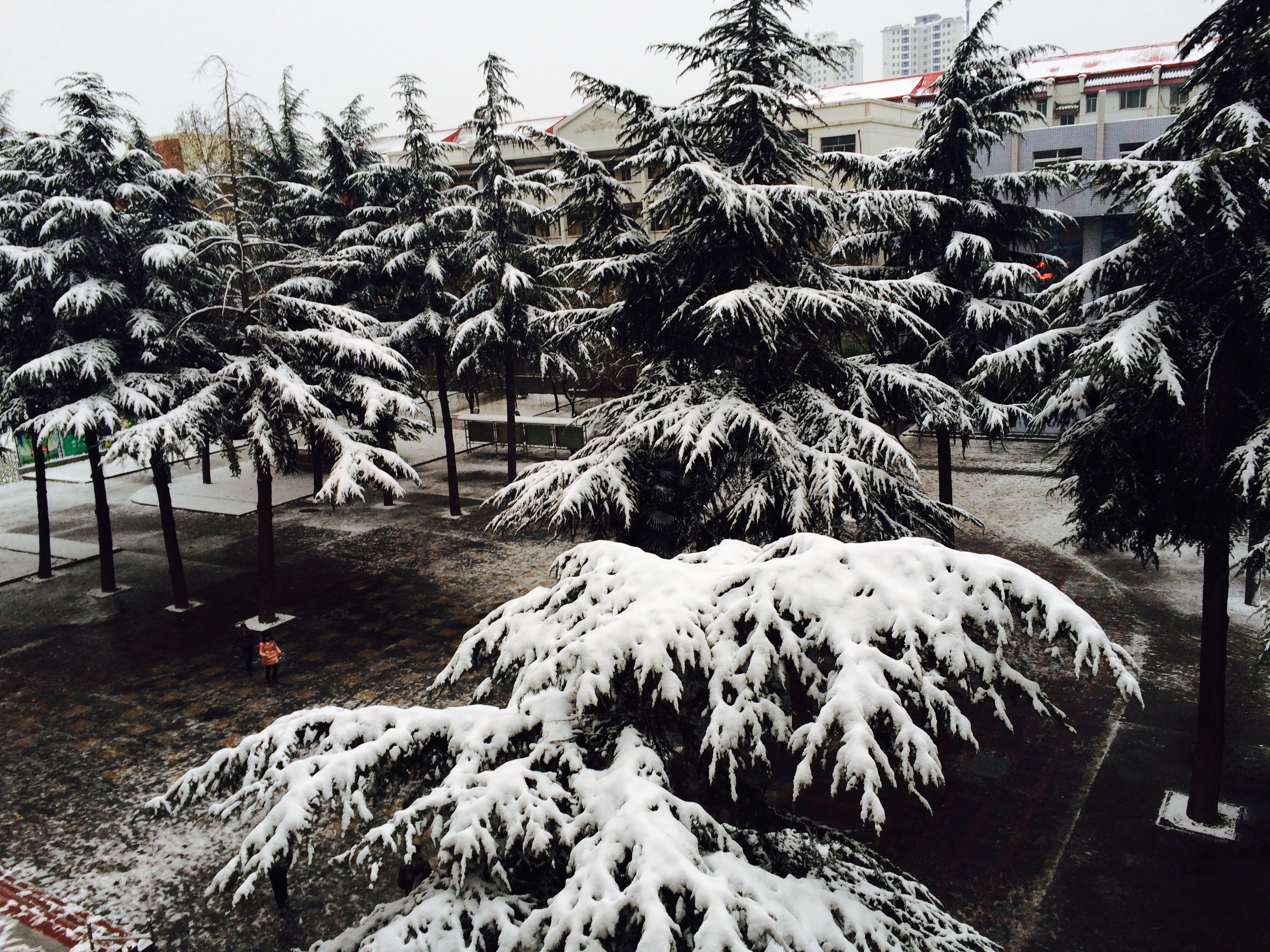 校園雪景