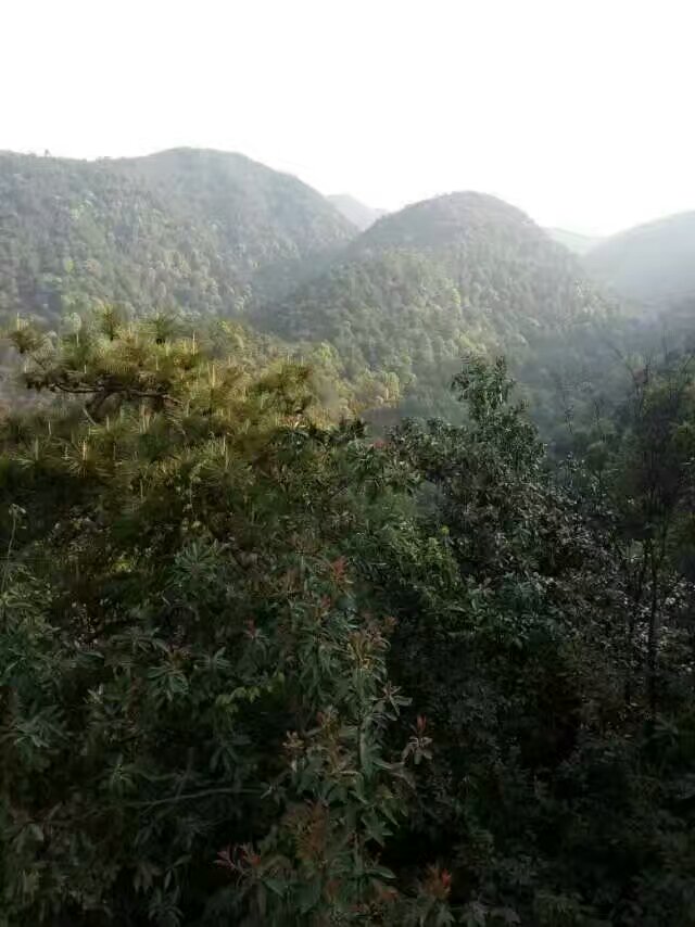 嵩華名山