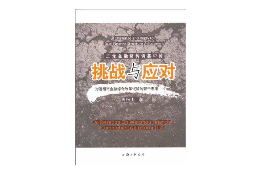 二元金融結構調整中的挑戰與應對