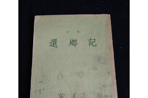 還鄉記(沙汀著作小說)