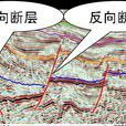 地質縱斷面圖