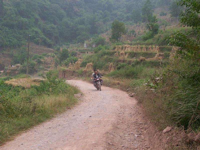 進村道路