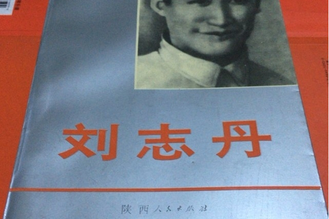 劉志丹(1993年陝西人民出版社出版的圖書)