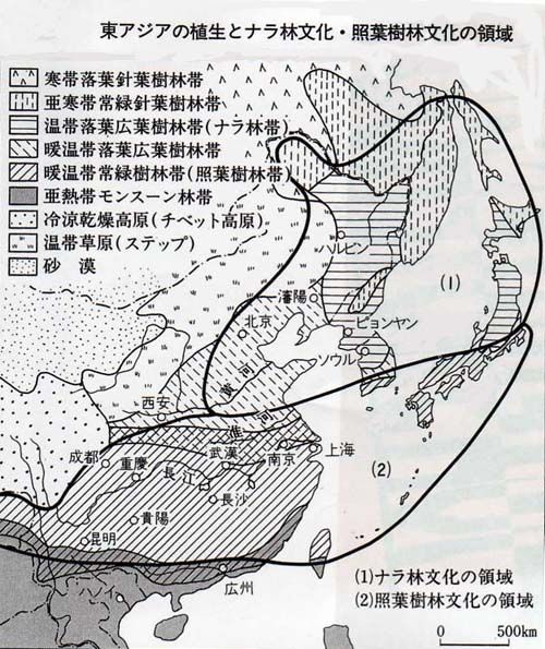 照葉樹林文化