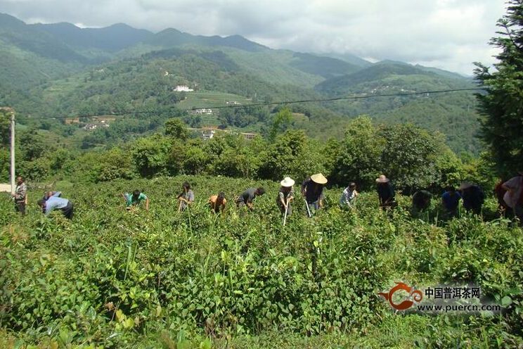 板家寨村(板家寨自然村)