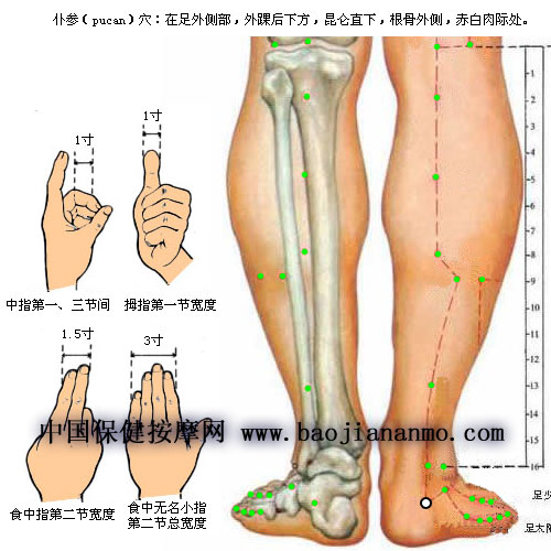 仆參穴