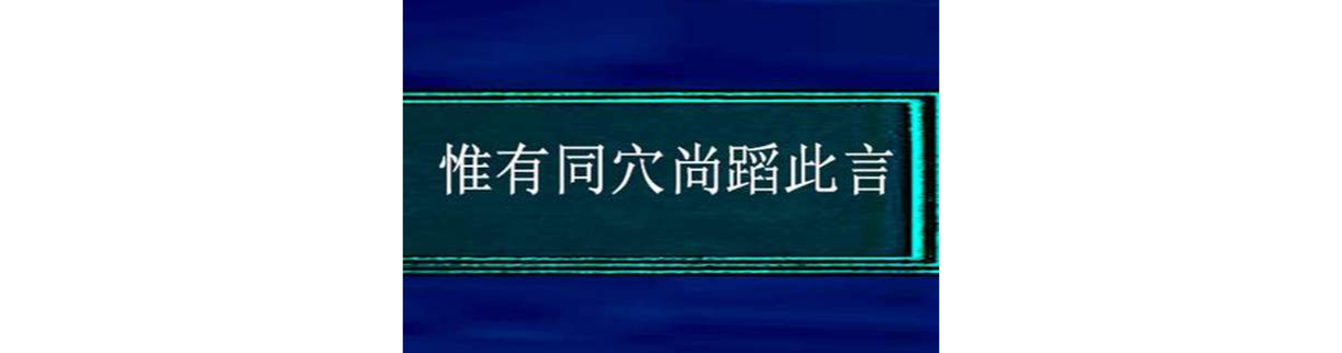 惟有同穴尚蹈此言