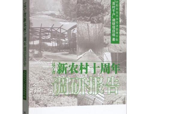 遼寧省新農村十周年調研報告