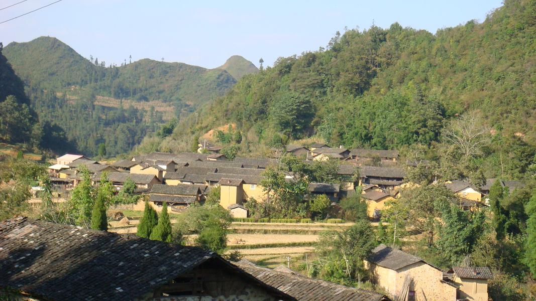 大坪子自然村(雲南昭通大關縣高橋鎮新場村委大坪子自然村)