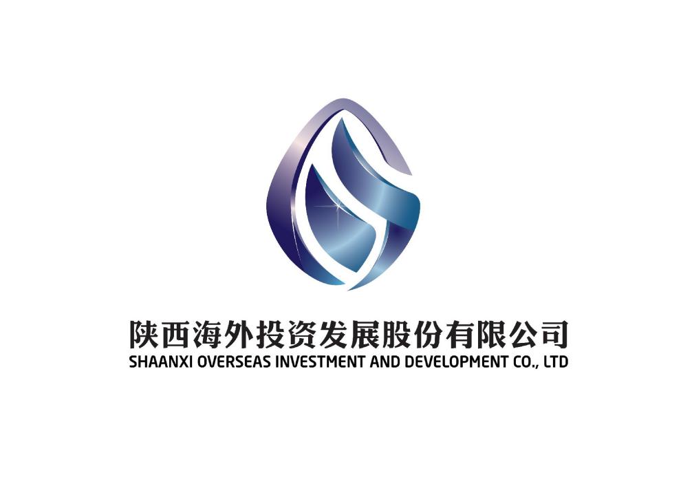 陝西海外投資發展股份有限公司