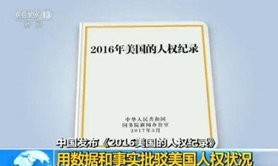 2016年美國的人權紀錄