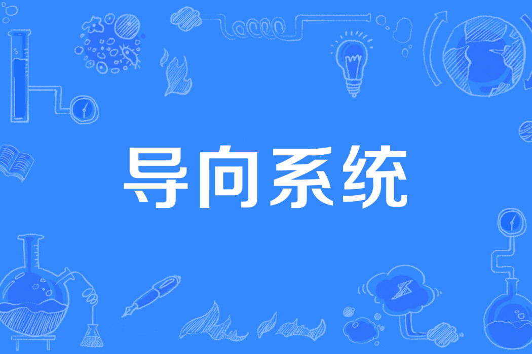 導向系統