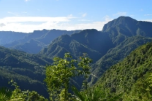 樅陽坡村