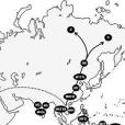 Carriers of mt DNA macrohaplogroup M colonized India from SE Asia