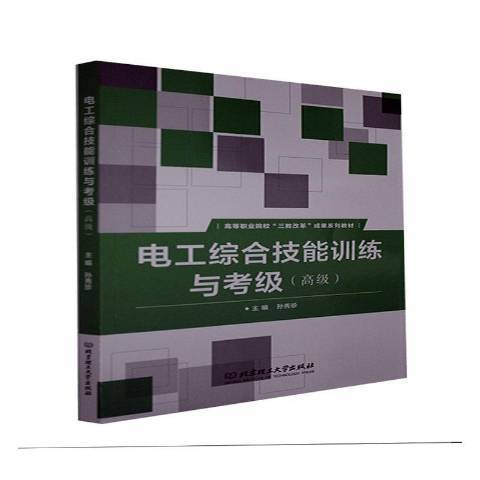 電工綜合技能訓練與考級高級