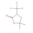 γ,γ-二甲基-α-三氟甲基-γ-丁內酯