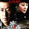 密使(2012年于震、陳紫函主演電視劇)