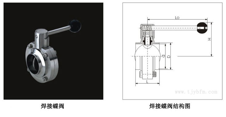 焊接式蝶閥結構圖