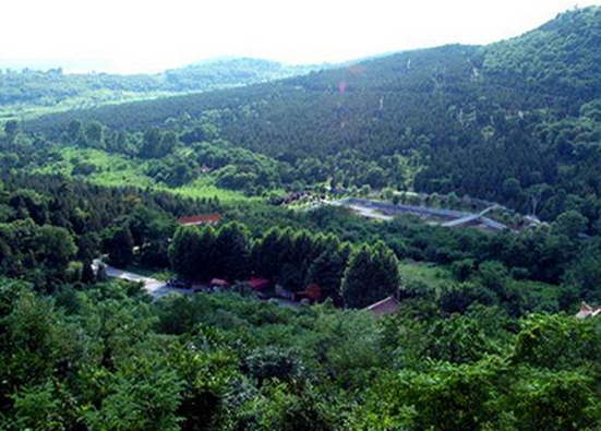 遠眺上窯國家森林公園