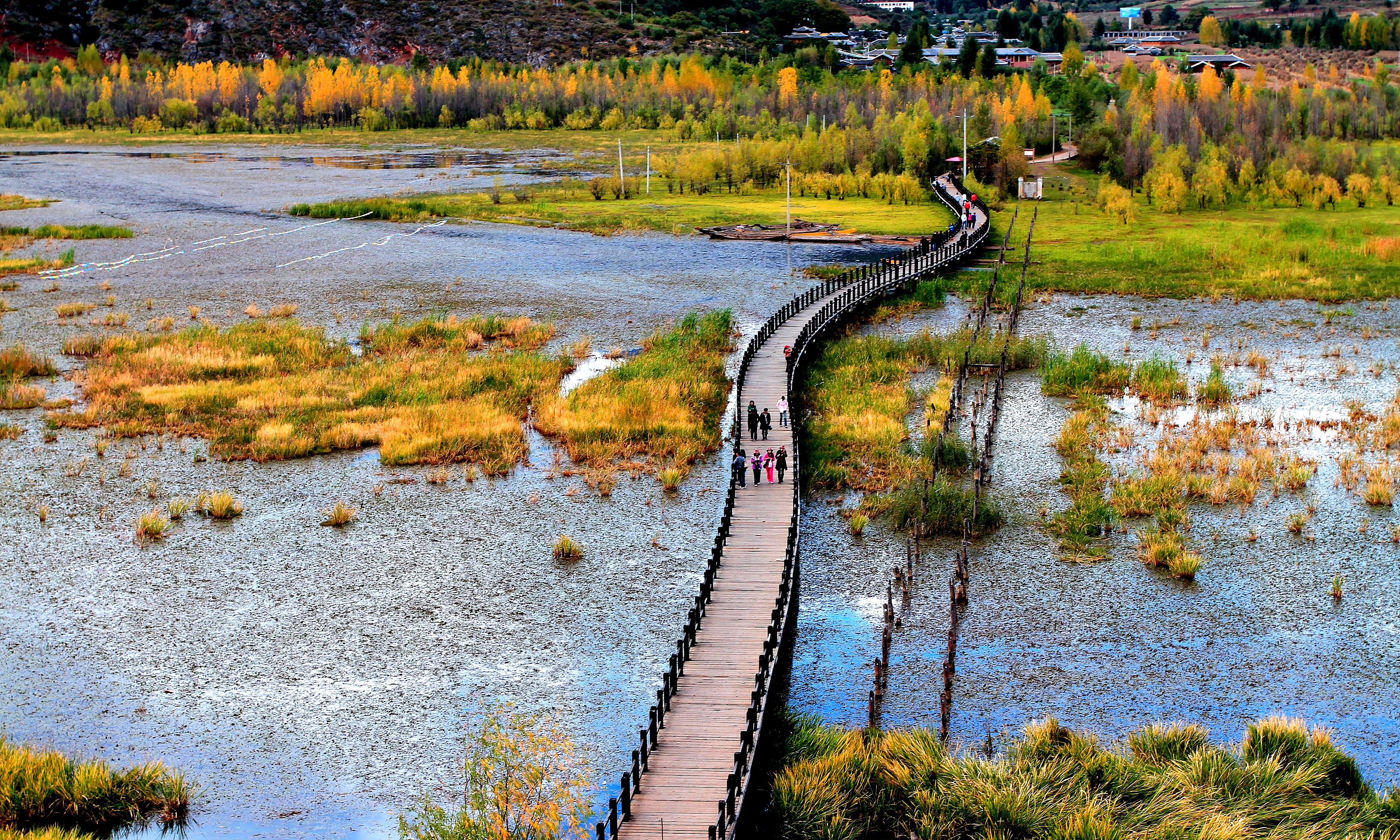 走婚橋