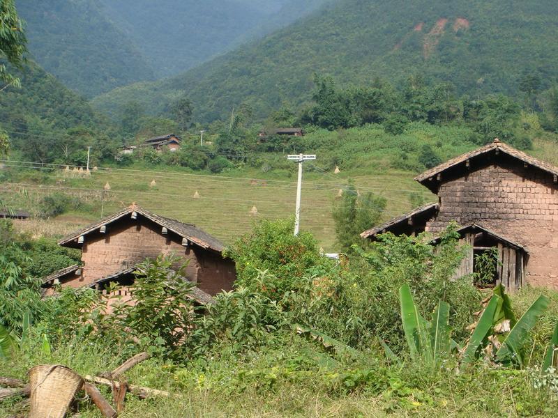 大黑樹村