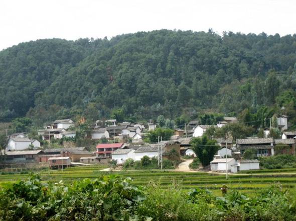 雲南省施甸縣酒房鄉馬鹿塘自然村