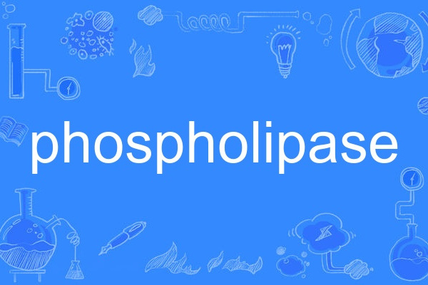 phospholipase