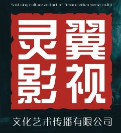 武漢靈翼影視文化藝術傳播有限公司