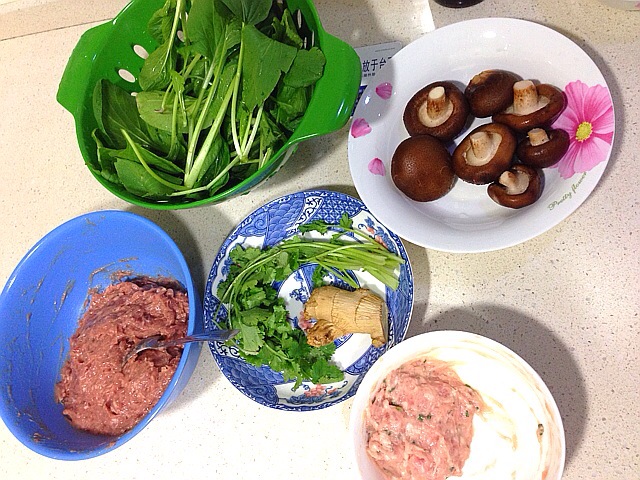 川味砂鍋之香菇蔬菜雙丸湯