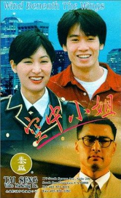 空中小姐(1995年錢永強執導電影)