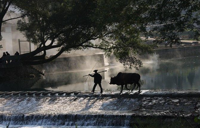 山福鎮