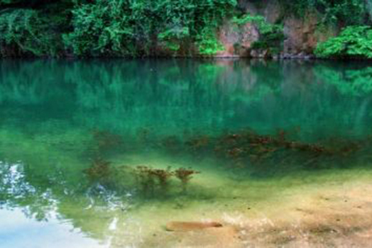 淋漓湖生態園