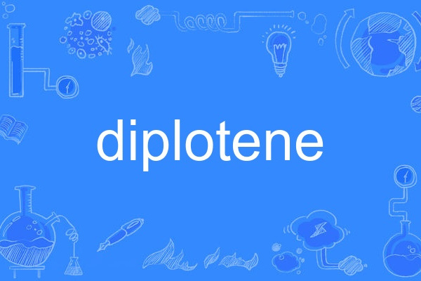 diplotene